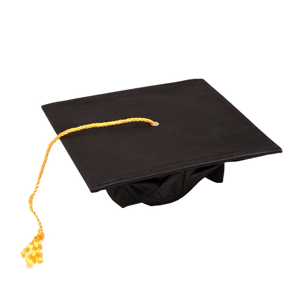 HD wallpaper: Photo of Woman Wearing Academic Dress, academic degree ...