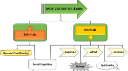 Learning For Life Free Stock Photo - Public Domain Pictures