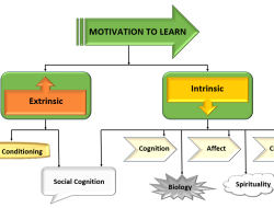 Learning Management System Software Reviews For Success