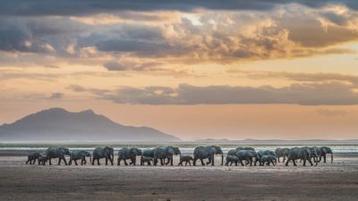 luxury tours to south africa Experience Unmatched Elegance