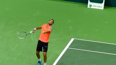 Free Images : tennis, green, water, macro photography, atmosphere ...