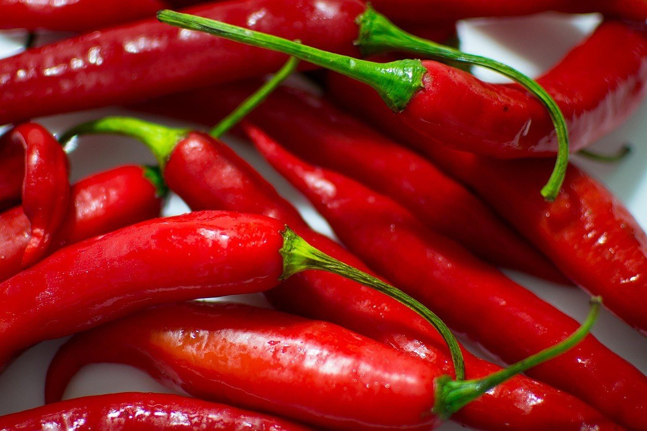 20 Rules to Live by for Those Who Want to Lose 10 Pounds in 3 Weeks