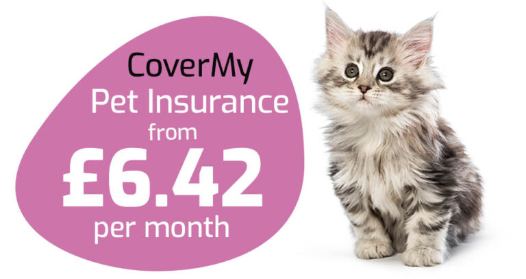 Buy cat insurance