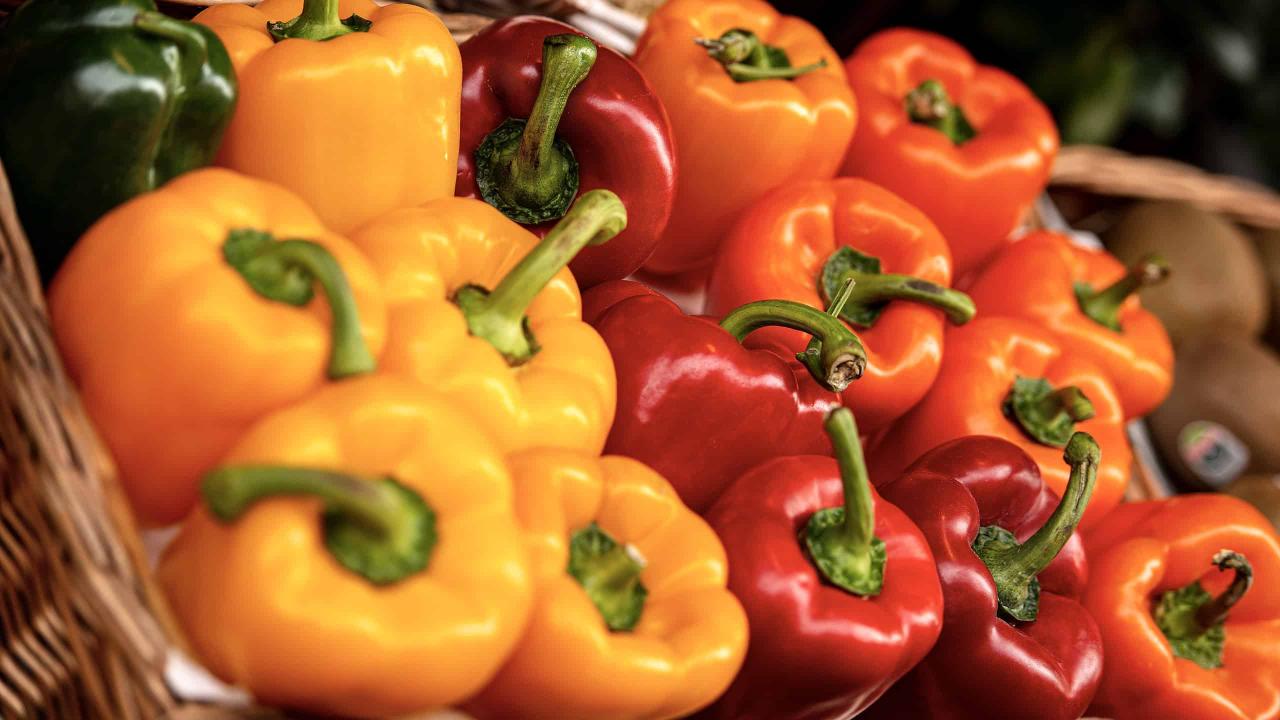 Are Orange Peppers Safe For Dogs